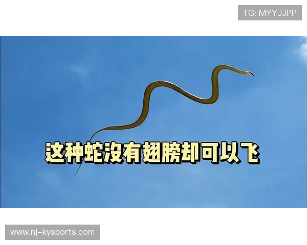 球迷扔下的假蛇缠住裁判双腿，裁判拖着假蛇执法整场成为奇观